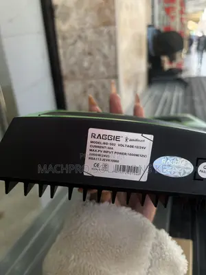 RAGGIE 60A PWM Solar Charge Controller