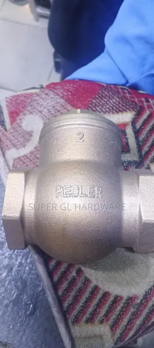 Bronze Swing Check Valve PN25
