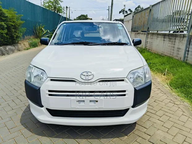 Toyota Probox 1.5 DX 4WD 2019 White - 1