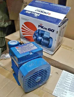 Pedrollo 0.5hp Water Pump (30m Head)