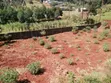 1 Acre Commercial Land for Lease, Waithaka - 1