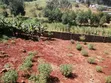 1 Acre Commercial Land for Lease, Waithaka - 2