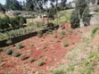 1 Acre Commercial Land for Lease, Waithaka - 3