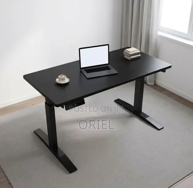 Electric Standing Office Desk - 1200MM Black Height Adjustable - 1