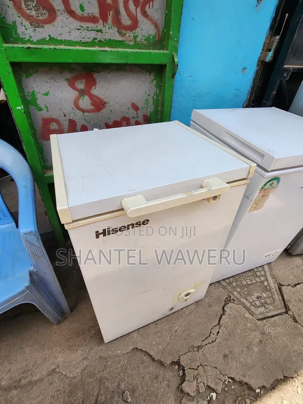 Deep Freezer Premier 100 Litre - 1