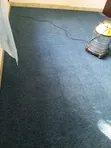 Carpet ya Delta Maduka na Taasisi - 2