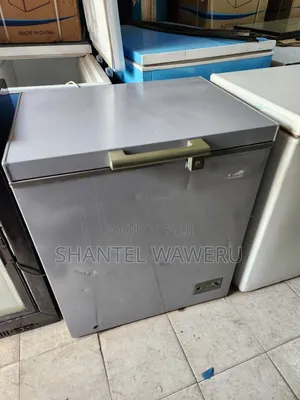 Ailyons Deep Freezer Fedha