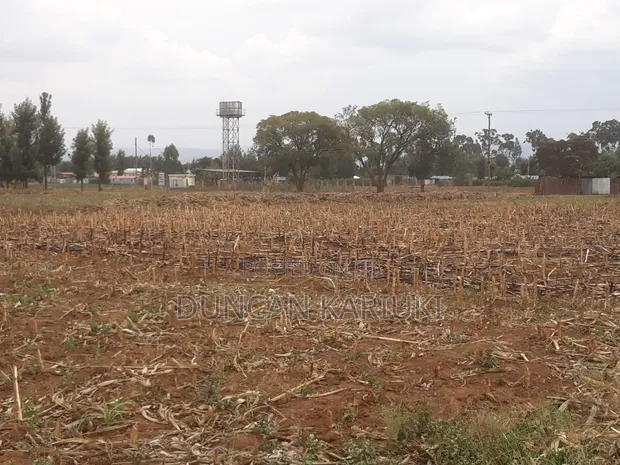 Residential Plot for Sale in Sobea - 1
