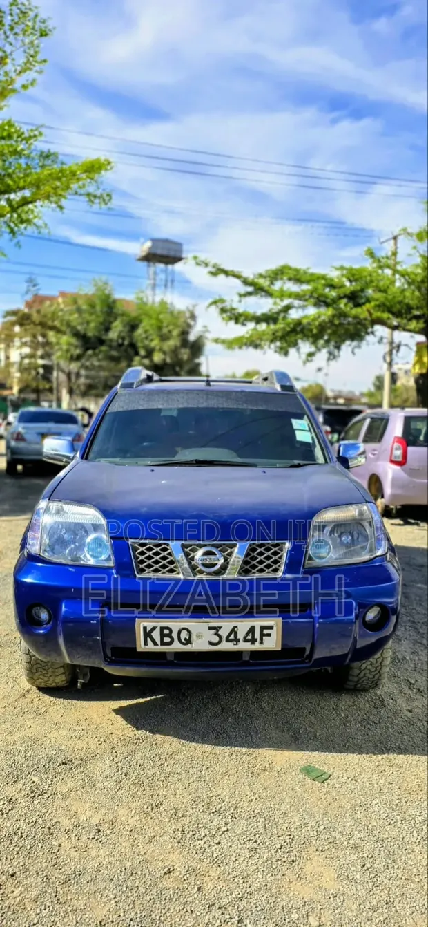 Nissan X-Trail 2004 Bluu - 1