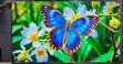 TCL 50" QLED S5K Smart TV - 2