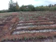 Riverfront Agricultural Land for Sale - Kampi Ya Moto - 2
