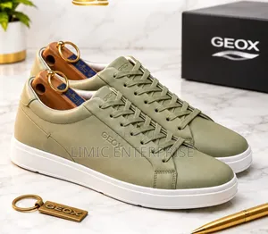 Geox Smart Casual Shoes