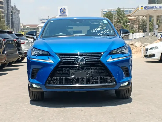 Lexus NX 300 Sport 2020 - 1