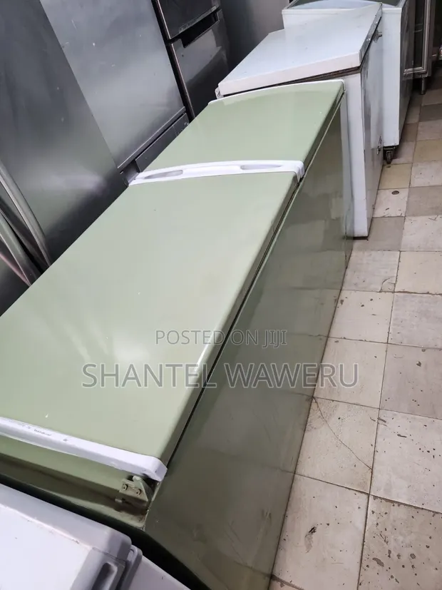 Ailyons Freezer ya Kifua 500L - 1