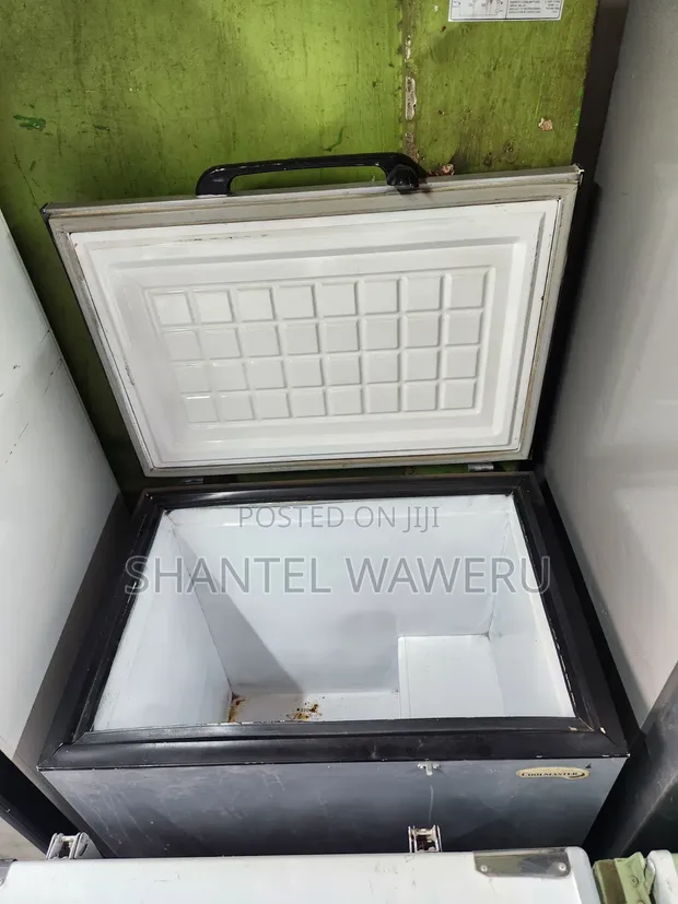 Ailyons Deep Freezer 150 Litres - 1