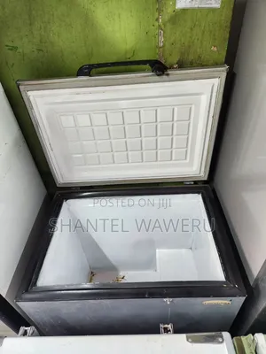 Ailyons Deep Freezer Lita 150