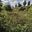 Nyumba ya Shamba ya Vyumba 4 Iliyo na Samani Mangu, Nakuru Inauzwa - 3