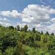 Nyumba ya Shamba ya Vyumba 4 Iliyo na Samani Mangu, Nakuru Inauzwa - 5