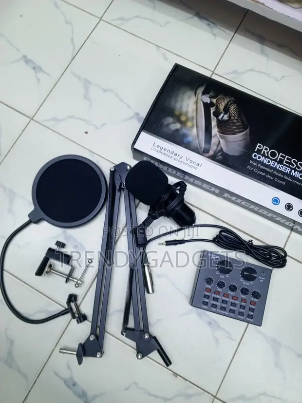 Professional Condenser Mic with V8 Sound Card & Boom Stand - 1
