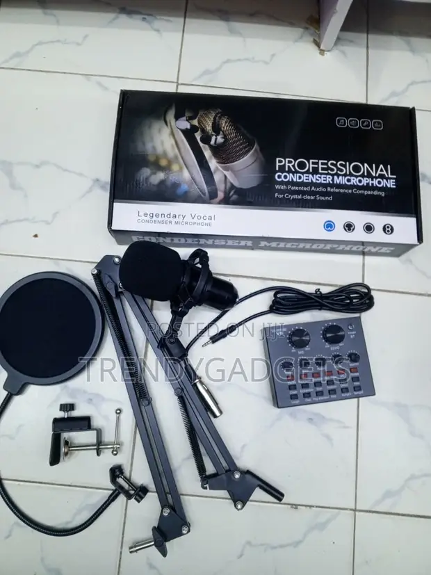 Legendary Vocal Microphone Kit with Shock Mount & Pop Filter - 1