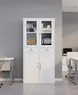 Kabati la Chuma la Nusu Kioo kwa Ofisi - 3