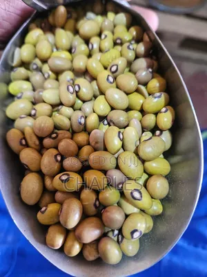 Clean Sorted Beans - Mumias Farm