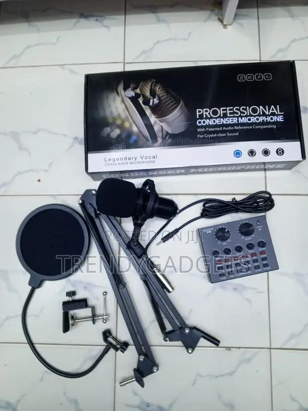 Professional Vocal Condenser Mic Set na Boom Arm & Pop Filter - 1