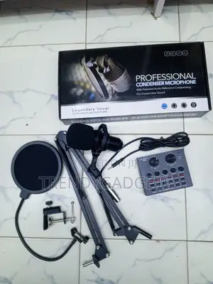 Professional Vocal Condenser Mic Set with Boom Arm & Pop Filter