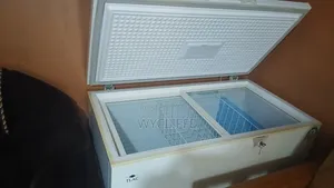 Tlac Deep Freezer 300L - Used