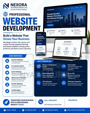 Professional Business Website Development - Kenya