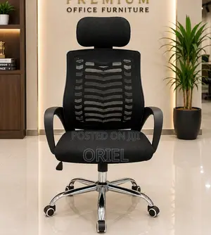 Kiti cha Ofisi cha Ergonomic chenye Kirekebishaji cha Kichwa