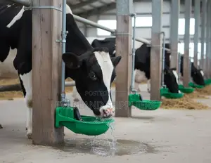 Automatic Cow Drinking Bowl