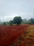 Eneo la Ekari 4.5 Linauzwa Kerugoya - 2