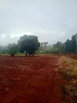 Eneo la Ekari 4.5 Linauzwa Kerugoya - 4