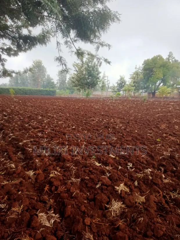 Nusu Eka Ardhi ya Biashara Kagio - 1