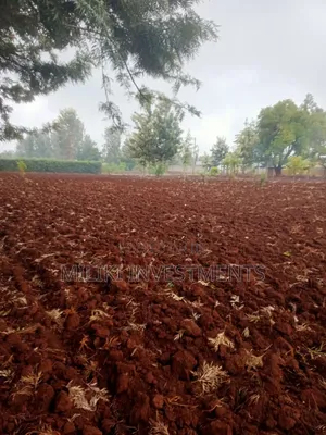 Half Acre Commercial Land for Sale in Kagio
