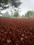 Half Acre Commercial Land for Sale in Kagio - 1