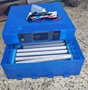 64 Egg Incubator AC/DC