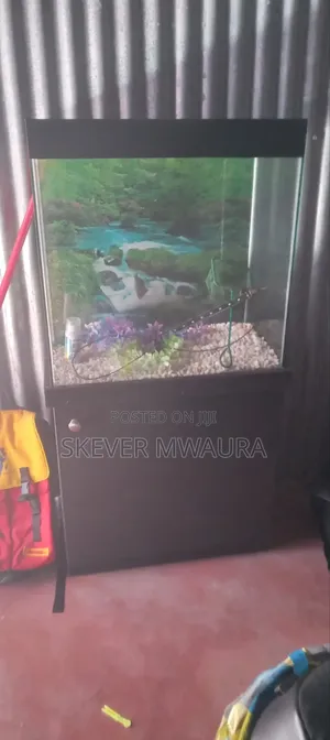 50 Litre Aquarium with Cabinet
