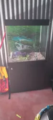 Aquarium ya Lita 50 na Kabati - 1