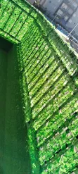 Light Green Artificial Grass Fence for Balcony - 2