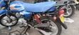 TVS HLX Plus ES 2025 Bluu - 2