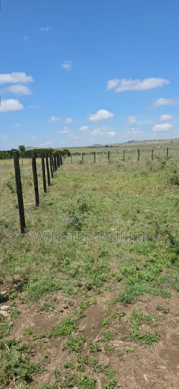 2 Acres Land for Sale - Daiga Ethi, Laikipia - 1