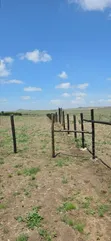 2 Acres Land for Sale - Daiga Ethi, Laikipia - 2