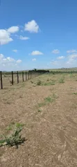 2 Acres Land for Sale - Daiga Ethi, Laikipia - 4