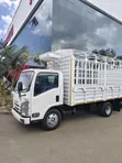 Truk Jipya la Isuzu NMR la Kubeba Chai - 4