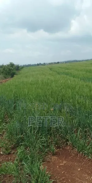 100 Acres Land for Sale in Gatirima Tandare, Laikipia