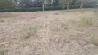 Eka 1 ya Ardhi ya Makazi Inauzwa Ongata Rongai - 2