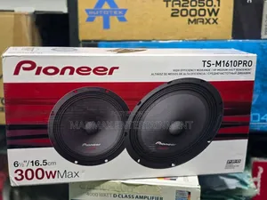 Pioneer TS-1610Pro 6.5-inch Speakers
