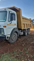 Tata Tipper 2516 2014 White - 2